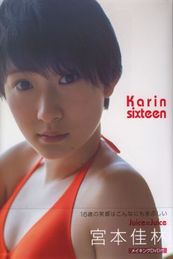藏海花免费观看全集完整版